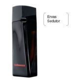 Intense Christian Meier Parfum 100ml